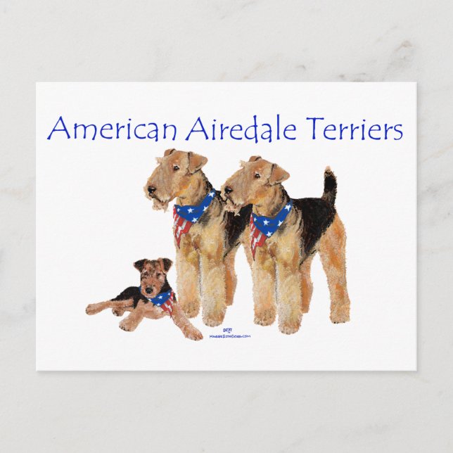 Airedale Terriers Amerikansk Flagga Vykort (Framsida)