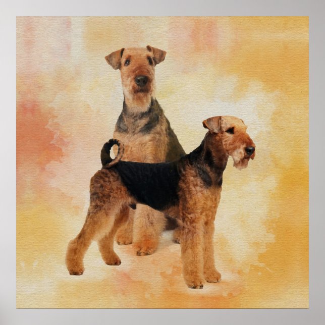 Airedale Terriers Digital Art Poster (Framsidan)