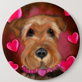 Airedale Valentine Knapp