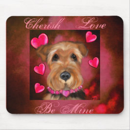 Airedale Valentine Musmatta