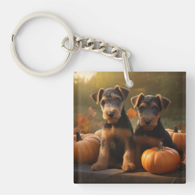 Airedale Valp Höstglädje Pumpa (Framsidan)