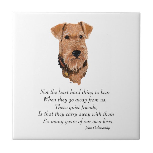 Airedale, Welsh, Lakeland Terrier Minnessak Kakelplatta (Framsidan)