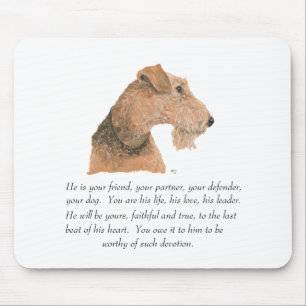 Airedale, Welsh, Lakeland Terrier Minnessak Musmatta