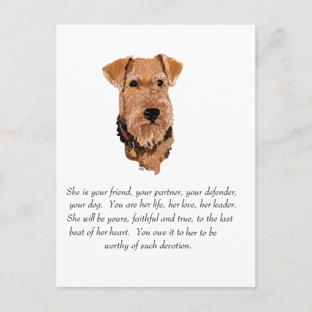 Airedale, Welsh, Lakeland Terrier Minnessak Vykort (Framsida)