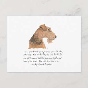 Airedale, Welsh, Lakeland Terrier Minnessak Vykort
