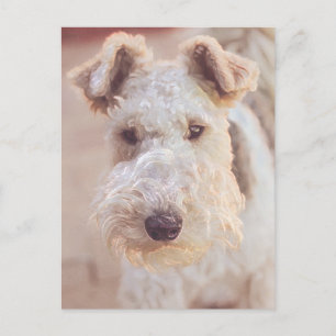 Airedale Welsh Terrier Typ Hund Valp Huvud Vykort
