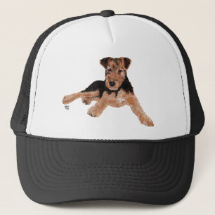 Airedale / Welsh Terrier Valp Keps