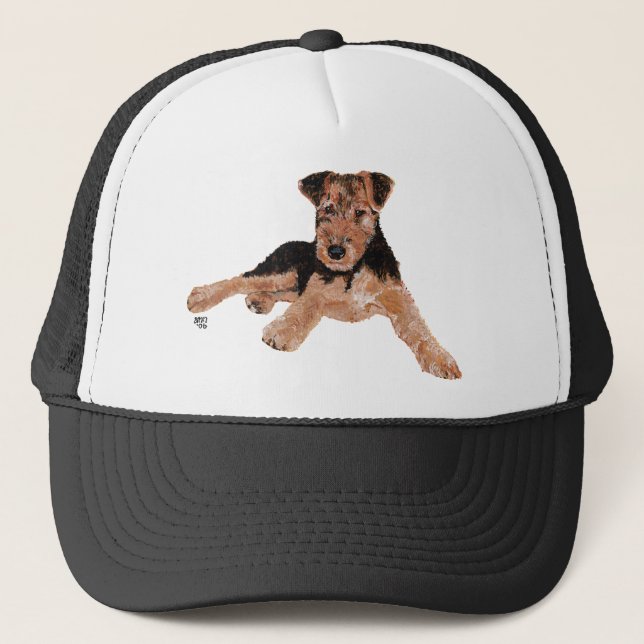 Airedale / Welsh Terrier Valp Keps (Framsida)