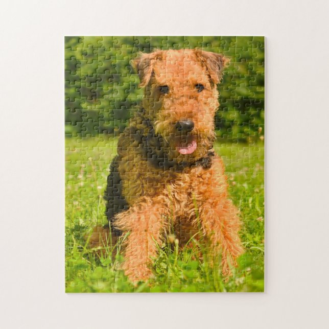 Airedaleterrier Hund. Pussel (Vertikal)
