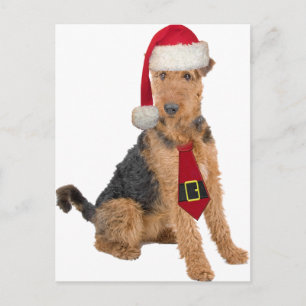 AiredaleTerrier i den Santa hatten Helg Vykort