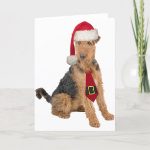 AiredaleTerrier i den Santa hatten Helgkort