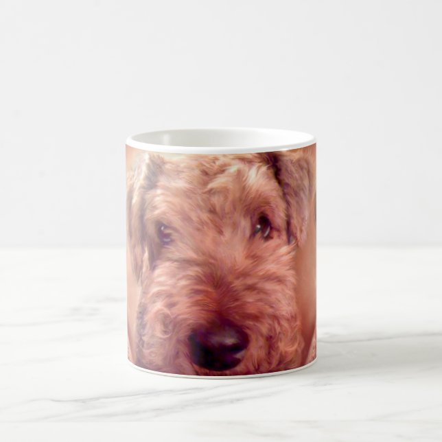 AiredaleTerrier mugg (Center)