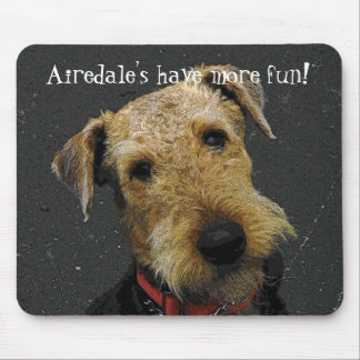 AiredaleTerrier Musmatta