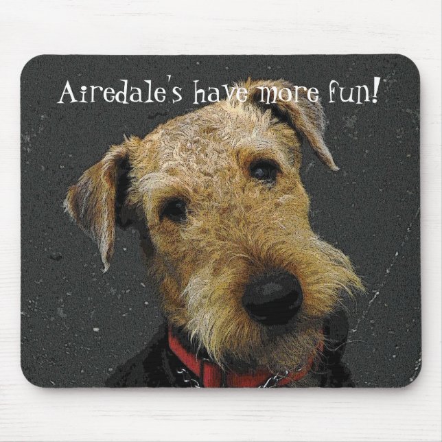 AiredaleTerrier Musmatta (Framsidan)