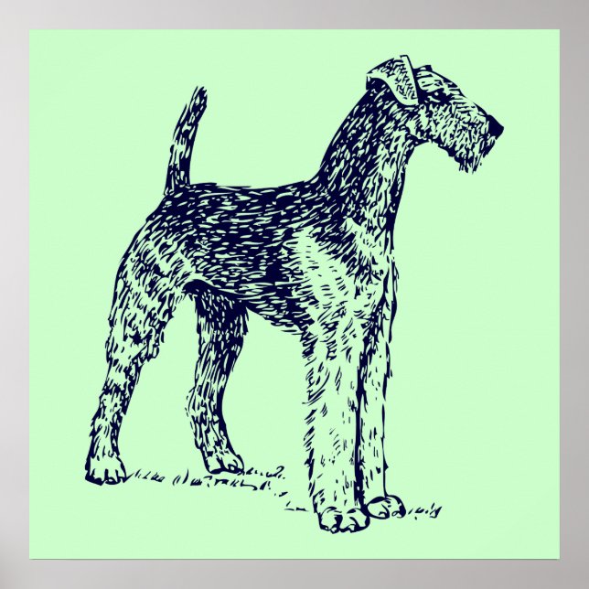 Airedaleterrier Poster (Framsidan)