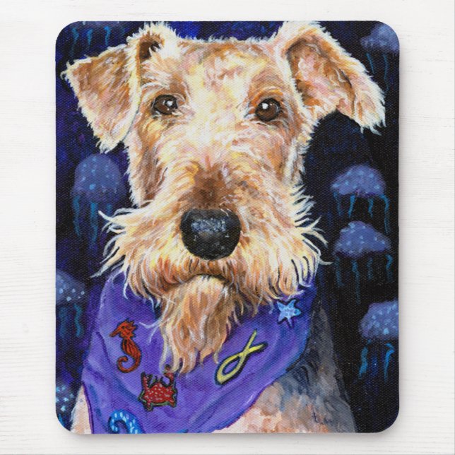 AiredaleTerrier, Seadale Musmatta (Framsidan)