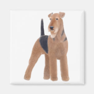 AiredaleTerriermagnet Magnet