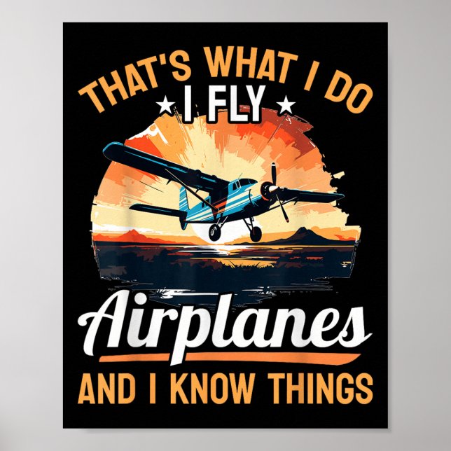 Airplane Aircraft Lot - That's What I Do I Fly Air Poster (Framsidan)