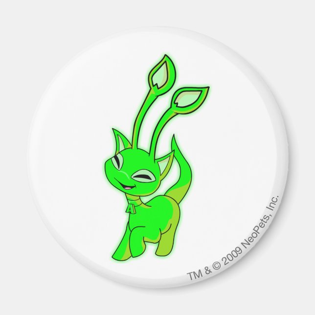 Aisha Glowing Magnet (Framsidan)