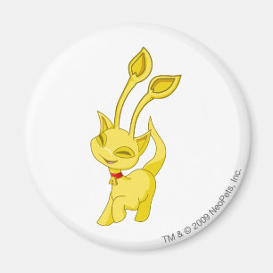 Aisha guld magnet