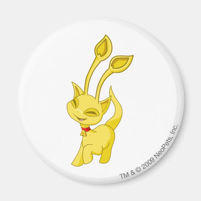 Aisha Guld Magnet (Framsidan)