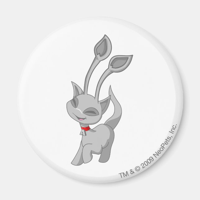 Aisha Silver Magnet (Framsidan)