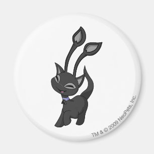 Aisha skuggar magnet