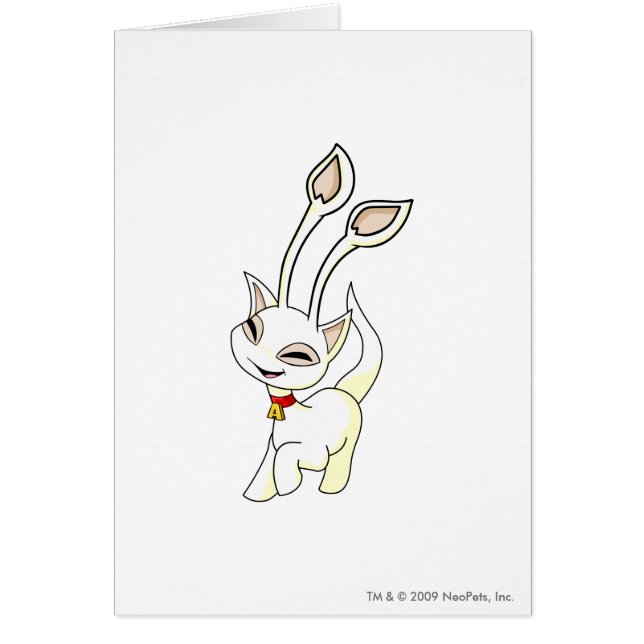 Aisha vit hälsningskort (Framsidan)