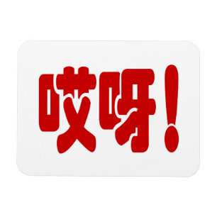 Aiya! 哎 呀! OMG! Kinesiska Hanzi-språket Magnet