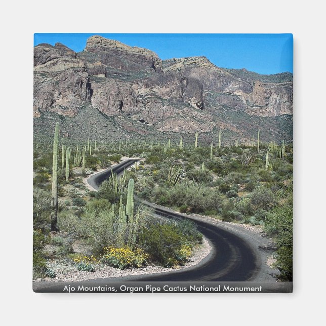 Ajo Mountains, det nationella monumentet för organ Magnet (Framsidan)