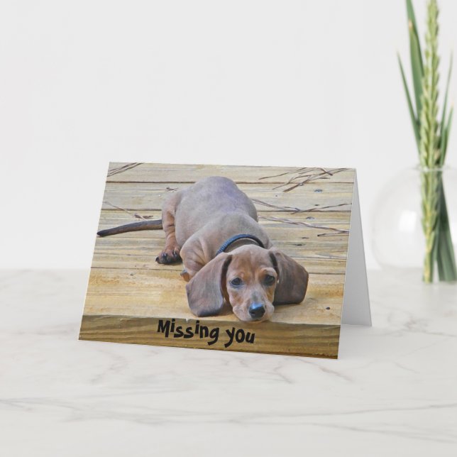 AK - Lustigt Dachshund som saknar ditt kort (Framsida)