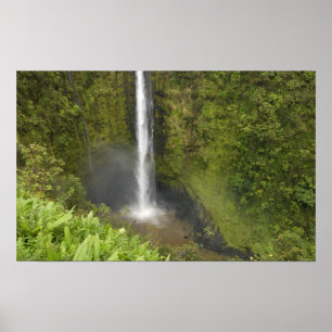 Akaka Falls, Hamakua Kusten, Hawaii Poster