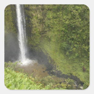 Akaka Falls, Hamakua-kusten, Hawaiiön, Fyrkantigt Klistermärke