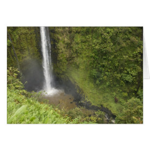 Akaka Falls, Hamakua-kusten, Hawaiiön, Hälsningskort