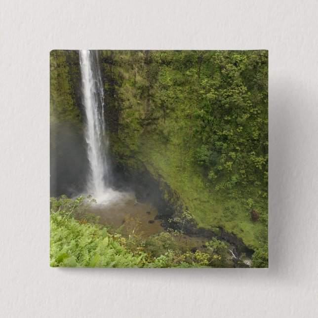 Akaka Falls, Hamakua-kusten, Hawaiiön, Knapp (Framsida)