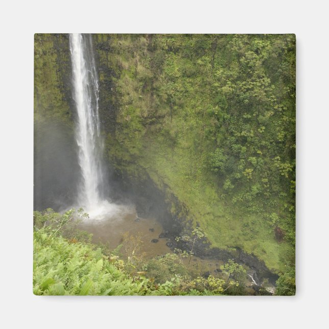 Akaka Falls, Hamakua-kusten, Hawaiiön, Magnet (Framsidan)