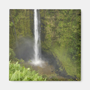 Akaka Falls, Hamakua-kusten, Hawaiiön, Magnet