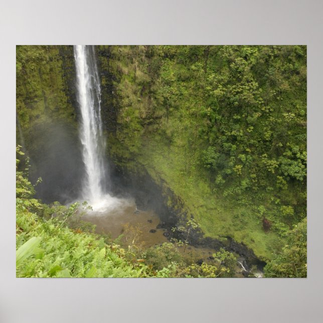 Akaka Falls, Hamakua-kusten, Hawaiiön, Poster (Framsidan)