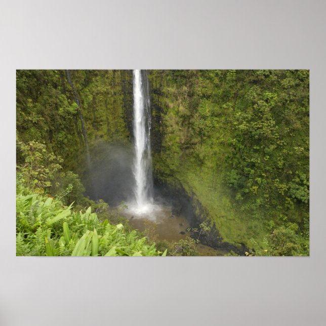 Akaka Falls, Hamakua-kusten, Hawaiiön, Poster (Framsidan)