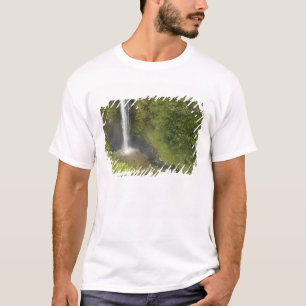 Akaka Falls, Hamakua-kusten, Hawaiiön, Tee