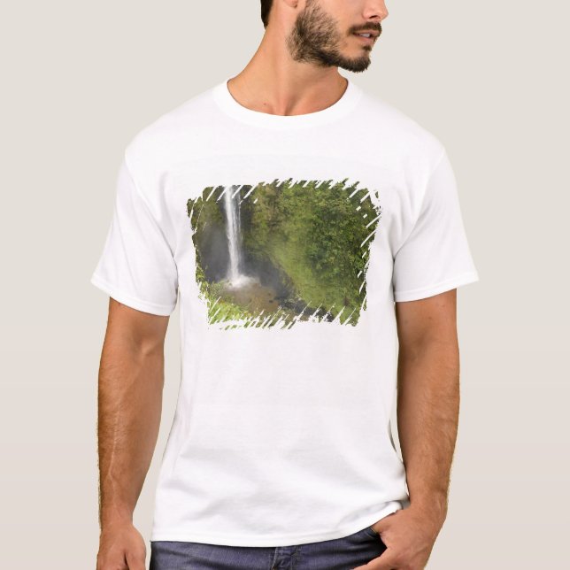 Akaka Falls, Hamakua-kusten, Hawaiiön, Tee (Framsida)