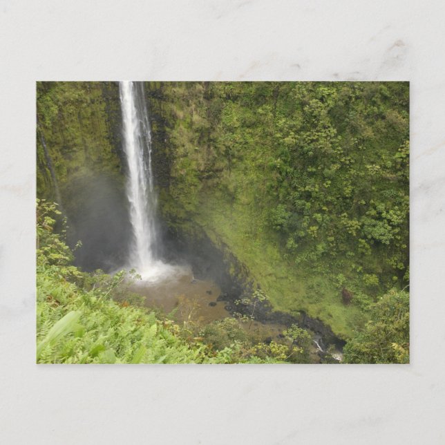 Akaka Falls, Hamakua-kusten, Hawaiiön, Vykort (Framsida)
