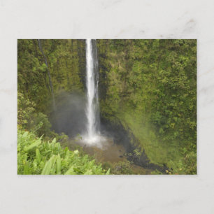Akaka Falls, Hamakua-kusten, Hawaiiön, Vykort