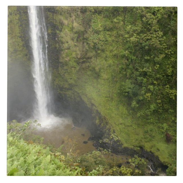 Akaka Falls, Hamakua Kusten, ön Hawaii Kakelplatta (Framsidan)