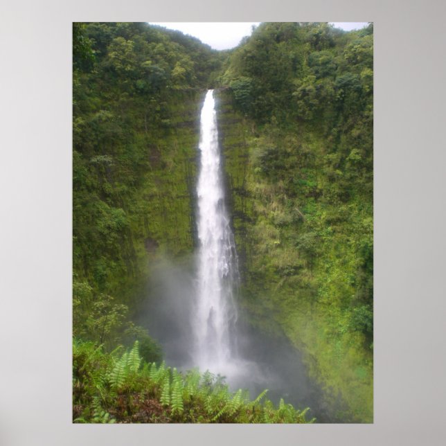Akaka Falls Hilo, Hawaii Poster (Framsidan)
