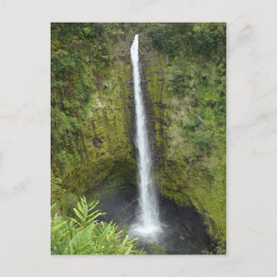 Akaka Falls Vykort