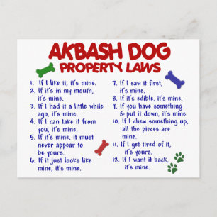 AKBASH HUND Egendom 2 Vykort