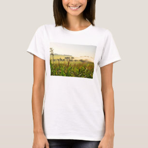 Åkerbruka Brasilien Tee