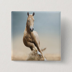 Akhal-Teke Horse Knapp