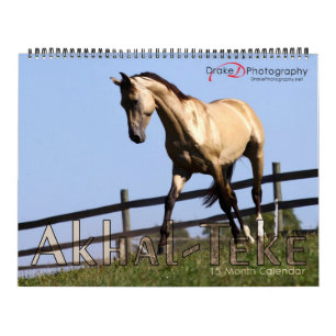 Akhal-Teke Horses 2011 Kalender
